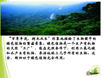 《第三节 植物光合作用的实质》PPT课件2-苏教版生物七年级上册