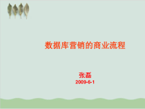 数据库营销的商业流程课件(-49张)