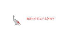 数据库营销基于案讲义例教学课件