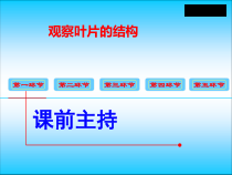 《第二节 植物光合作用的场所》PPT课件1-苏教版生物七年级上册