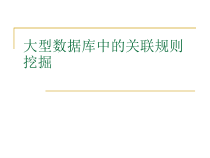 数据挖掘-6大型数据库中的关联规则挖掘课件