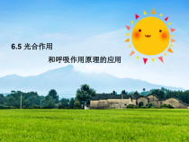 《第五节 光合作用和呼吸作用原理的应用》PPT课件2-苏教版生物七年级上册