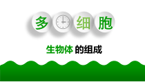 《第二节 多细胞生物体的组成》PPT课件2-苏教版生物七年级上册