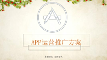 APP运营推广方案(-36张)课件