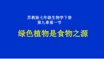 《第一节 绿色植物是食物之源》PPT课件2-苏教版生物七年级上册