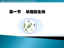 《第一节 单细胞生物》PPT课件2-苏教版生物七年级上册