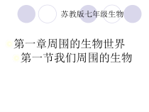 《第一节 我们周围的生物》PPT课件4-苏教版生物七年级上册