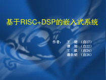基于RISC-DSP的嵌入式系统课件