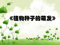 《第一节 植物种子的萌发》PPT课件4-苏教版生物七年级上册