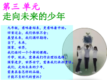 《走向世界大舞台》PPT课件5-统编版九年级下册道德与法治