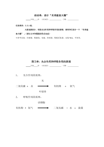 《第五节 光合作用和呼吸作用原理的应用》活动单-苏教版生物七年级上册