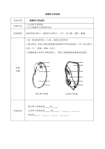 《第一节 植物种子的萌发 观察种子的结构》实验报告-苏教版生物七年级上册