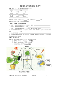 《第一节 植物光合作用的发现》任务单-苏教版生物七年级上册