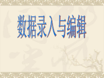 3.1.3《数据录入与编辑》PPT课件1-七年级信息技术【苏科版】