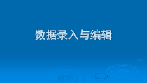 3.1.3《数据录入与编辑》PPT课件2-七年级信息技术【苏科版】
