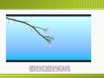 1.3.2《制作形状补间动画》PPT课件13-八年级信息技术【苏科版】
