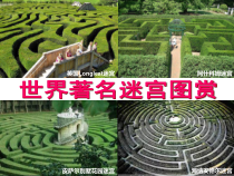 1.3.3《制作计算机动画——导入》PPT课件8-八年级信息技术【苏科版】
