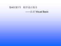 4.1.4《认识Visual Basic》PPT课件6-八年级信息技术【苏科版】
