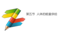 苏教版生物七年级下册（课件10份可预览）