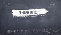 《第二节 保护生物圈——从自身做起》PPT课件1-苏教版生物七年级下册
