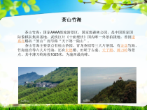 《插入图片（艺术字）（复习课）》PPT课件-七年级上册信息技术【西师大版】