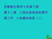 《第三节 人体感知信息》PPT课件1-苏教版生物七年级下册