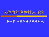 《第一节 人体泌尿系统的组成》PPT课件3-苏教版生物七年级下册