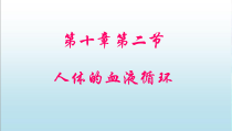 《第二节 人体的血液循环》PPT课件2-苏教版生物七年级下册