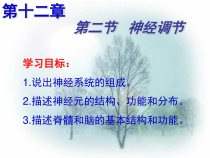 《第二节 人体的神经调节》PPT课件1-苏教版生物七年级下册