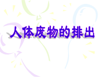 《第二节 人体废物的排出》PPT课件3-苏教版生物七年级下册