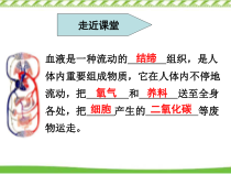 《第二节 人体的血液循环》PPT课件1-苏教版生物七年级下册