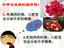 《第二节 人体的神经调节》PPT课件4-苏教版生物七年级下册