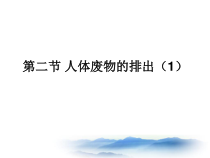 《第二节 人体废物的排出》PPT课件1-苏教版生物七年级下册