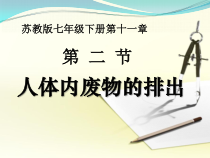 《第二节 人体废物的排出》PPT课件2-苏教版生物七年级下册