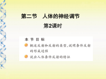 《第二节 人体的神经调节》PPT课件5-苏教版生物七年级下册