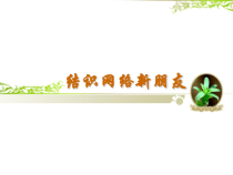1.1《结识网络新朋友》PPT课件4-七年级下册信息技术【西师大版】