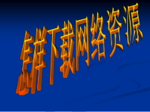 1.4《一起去寻宝——网上信息搜索》PPT课件7-七年级下册信息技术【西师大版】