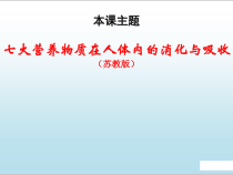 《第二节 人体的消化与吸收》PPT课件2-苏教版生物七年级下册