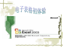 2.9《我的好帮手——初识电子表格》PPT课件6-七年级下册信息技术【西师大版】