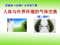 《第三节 人体和外界环境的气体交换》PPT课件4-苏教版生物七年级下册