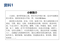 2.11《争当化妆师——修饰数据表》PPT课件3-七年级下册信息技术【西师大版】