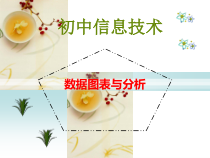 2.14《数据的直观展示——统计图表》PPT课件1-七年级下册信息技术【西师大版】