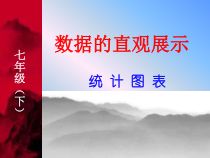 2.14《数据的直观展示——统计图表》PPT课件2-七年级下册信息技术【西师大版】