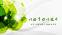 第1课《感受精彩——体验多媒体技术》PPT课件2-八年级上册信息技术【西师大版】