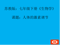 《第一节 人体的激素调节》PPT课件2-苏教版生物七年级下册