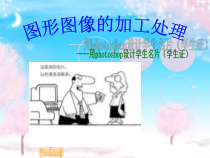 《图形图像的加工处理》PPT课件2-八年级上册信息技术【西师大版】