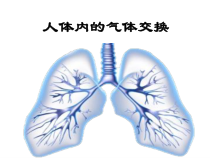 《第四节 人体内的气体交换》PPT课件2-苏教版生物七年级下册