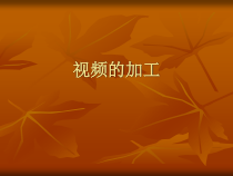第5课《绘声绘影——视频的加工》PPT课件2-八年级上册信息技术【西师大版】