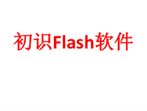 《初识Flash软件》PPT课件-八年级下册信息技术【西师大版】