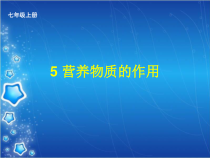 《第一节 人体需要的主要营养物质》PPT课件3-苏教版生物七年级下册